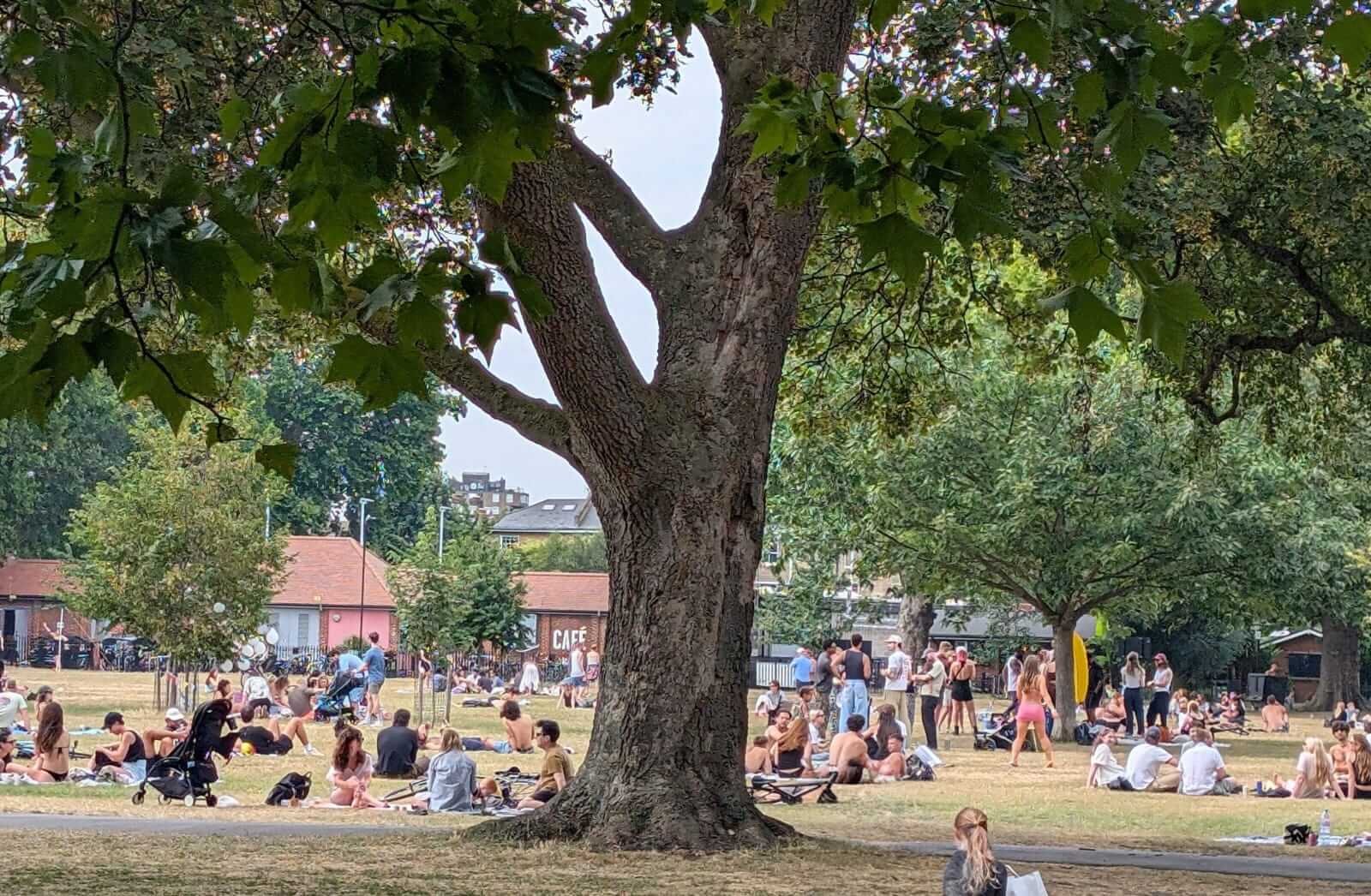 London Fields on a summer afternoon, busy with people